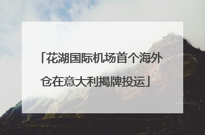 花湖国际机场首个海外仓在意大利揭牌投运