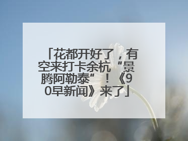花都开好了，有空来打卡余杭“景腾阿勒泰”！《90早新闻》来了