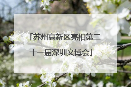苏州高新区亮相第二十一届深圳文博会