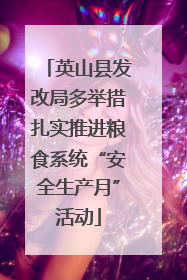 英山县发改局多举措扎实推进粮食系统“安全生产月”活动