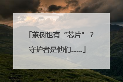 茶树也有“芯片”？守护者是他们……