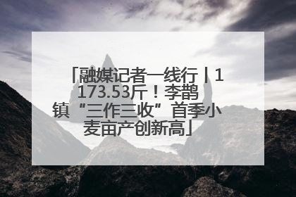 融媒记者一线行丨1173.53斤！李鹊镇“三作三收”首季小麦亩产创新高