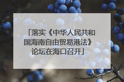 落实《中华人民共和国海南自由贸易港法》论坛在海口召开