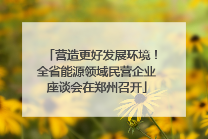 营造更好发展环境！全省能源领域民营企业座谈会在郑州召开