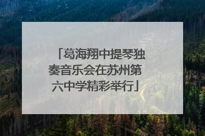 葛海翔中提琴独奏音乐会在苏州第六中学精彩举行