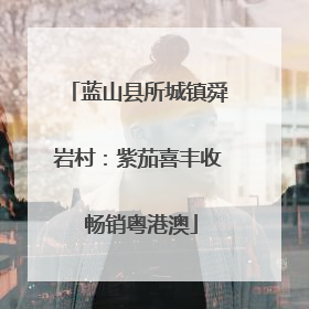 蓝山县所城镇舜岩村：紫茄喜丰收 畅销粤港澳
