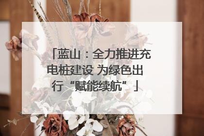 蓝山：全力推进充电桩建设 为绿色出行“赋能续航”