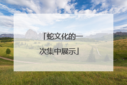 蛇文化的一次集中展示