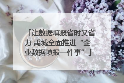 让数据填报省时又省力 禹城全面推进“企业数据填报一件事”