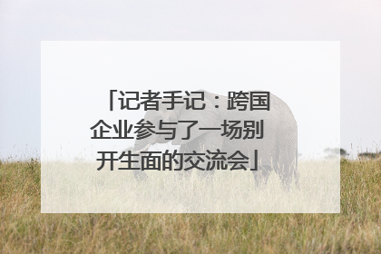 记者手记：跨国企业参与了一场别开生面的交流会
