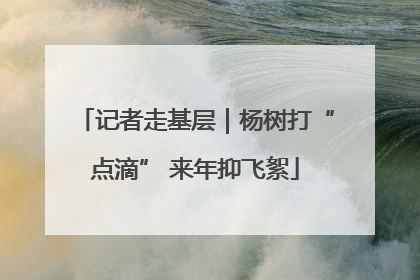 记者走基层｜杨树打“点滴” 来年抑飞絮
