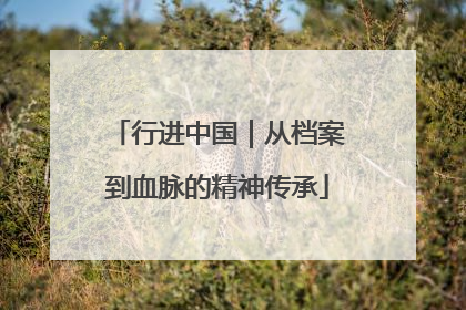 行进中国｜从档案到血脉的精神传承