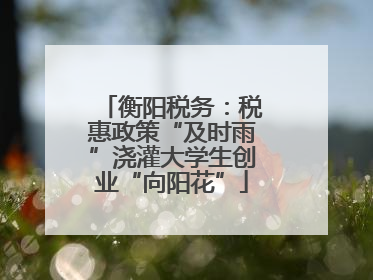 衡阳税务：税惠政策“及时雨”浇灌大学生创业“向阳花”
