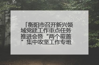 衡阳市召开新兴领域党建工作重点任务推进会暨“两个覆盖”集中攻坚工作专班 第一次会议