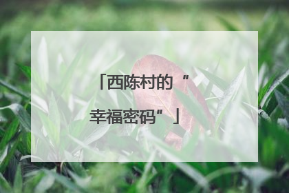 西陈村的“幸福密码”