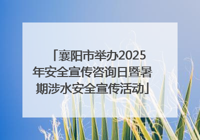 襄阳市举办2025年安全宣传咨询日暨暑期涉水安全宣传活动