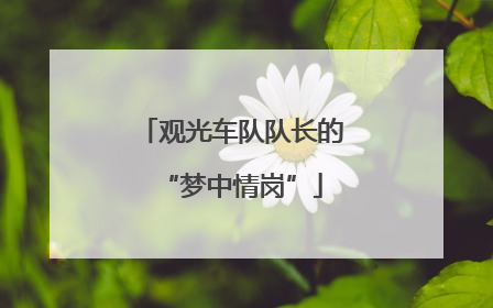 观光车队队长的“梦中情岗”