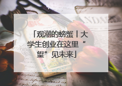 观潮的螃蟹丨大学生创业在这里“望”见未来