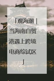 观海潮｜当海南自贸港遇上跨境电商综试区