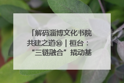解码淄博文化书院共建之道⑩｜桓台：“三链融合”撬动基层文化共治新动能