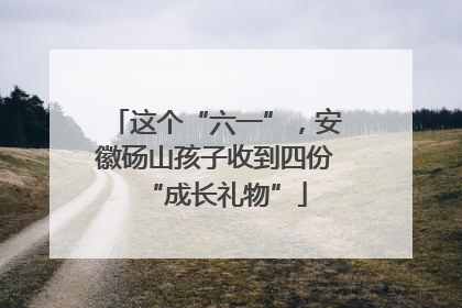 这个“六一”，安徽砀山孩子收到四份“成长礼物”