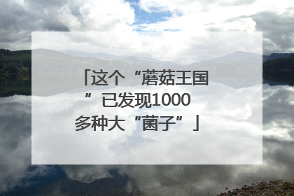 这个“蘑菇王国”已发现1000多种大“菌子”
