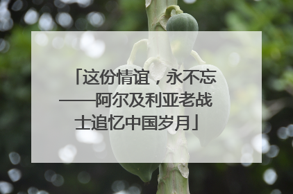 这份情谊，永不忘——阿尔及利亚老战士追忆中国岁月
