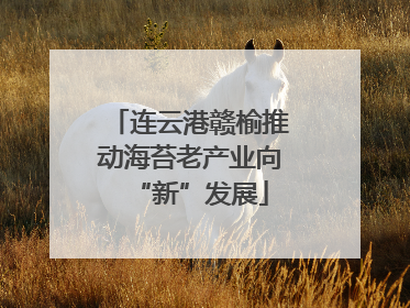 连云港赣榆推动海苔老产业向“新”发展