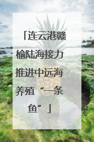 连云港赣榆陆海接力推进中远海养殖“一条鱼”