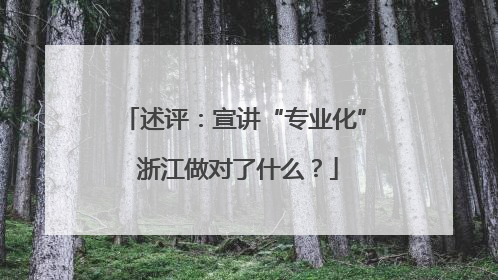 述评：宣讲“专业化” 浙江做对了什么？