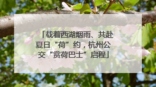 载着西湖烟雨、共赴夏日“荷”约，杭州公交“赏荷巴士”启程