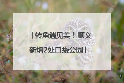 转角遇见美！顺义新增2处口袋公园