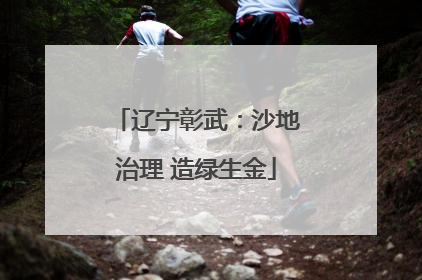 辽宁彰武：沙地治理 造绿生金
