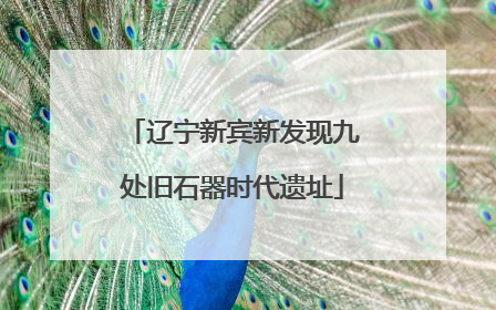 辽宁新宾新发现九处旧石器时代遗址