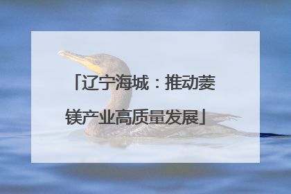 辽宁海城：推动菱镁产业高质量发展