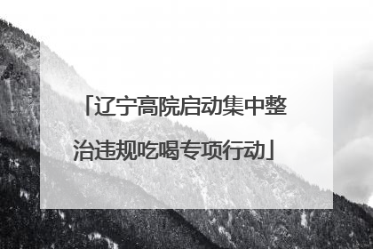 辽宁高院启动集中整治违规吃喝专项行动
