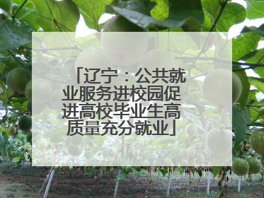 辽宁：公共就业服务进校园促进高校毕业生高质量充分就业
