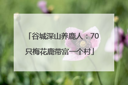 谷城深山养鹿人：70只梅花鹿带富一个村