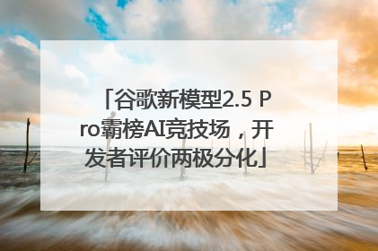 谷歌新模型2.5 Pro霸榜AI竞技场，开发者评价两极分化
