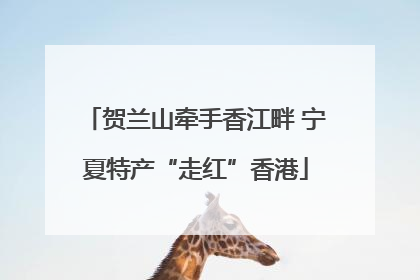 贺兰山牵手香江畔 宁夏特产“走红”香港
