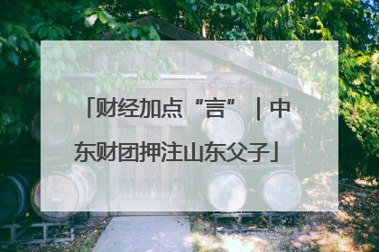 财经加点“言”｜中东财团押注山东父子