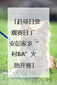 赶场日变观赛日 广安彭家乡“村BA”火热开赛