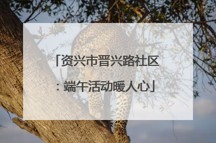 资兴市晋兴路社区：端午活动暖人心