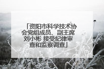 资阳市科学技术协会党组成员、副主席刘小彬 接受纪律审查和监察调查