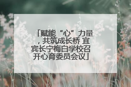 赋能“心”力量，共筑成长桥 宜宾长宁梅白学校召开心育委员会议