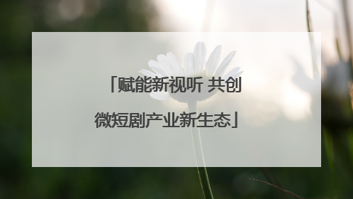 赋能新视听 共创微短剧产业新生态