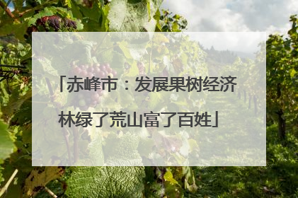 赤峰市：发展果树经济林绿了荒山富了百姓