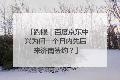 趵眼｜百度京东中兴为何一个月内先后来济南签约？