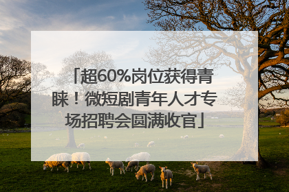 超60%岗位获得青睐！微短剧青年人才专场招聘会圆满收官