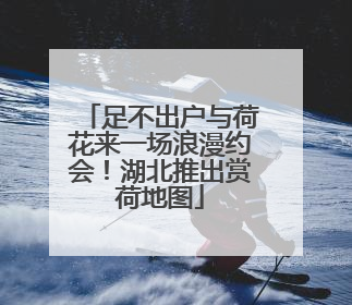 足不出户与荷花来一场浪漫约会！湖北推出赏荷地图